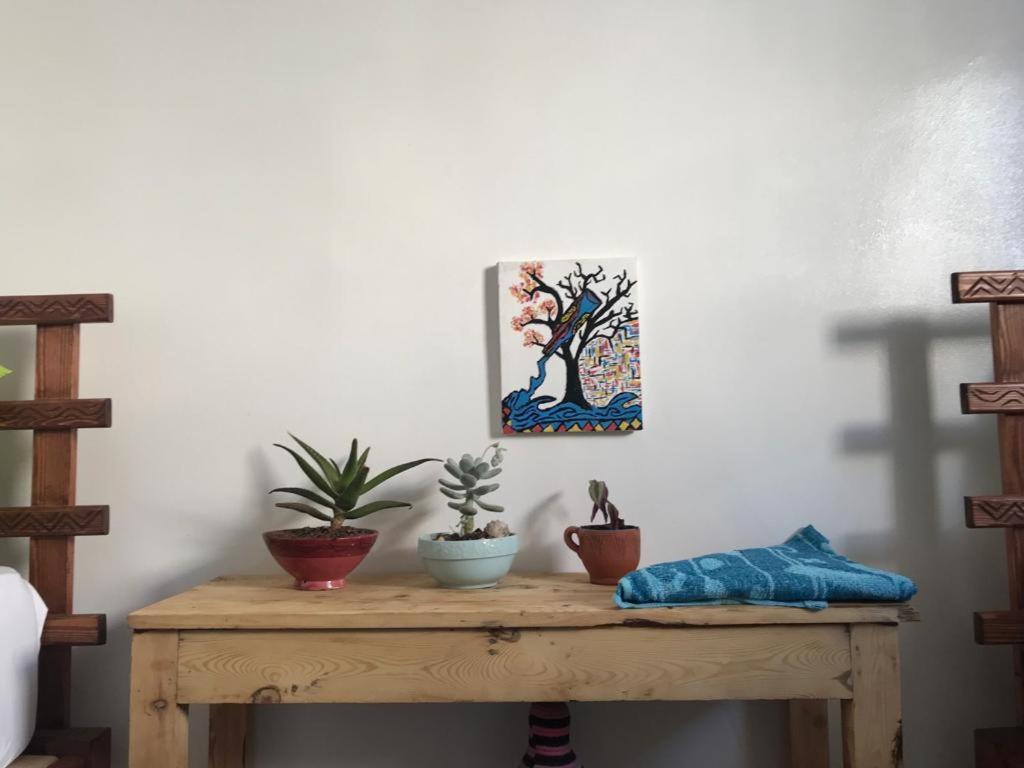 Binic Surf House Bed and Breakfast Taghazout Exteriör bild