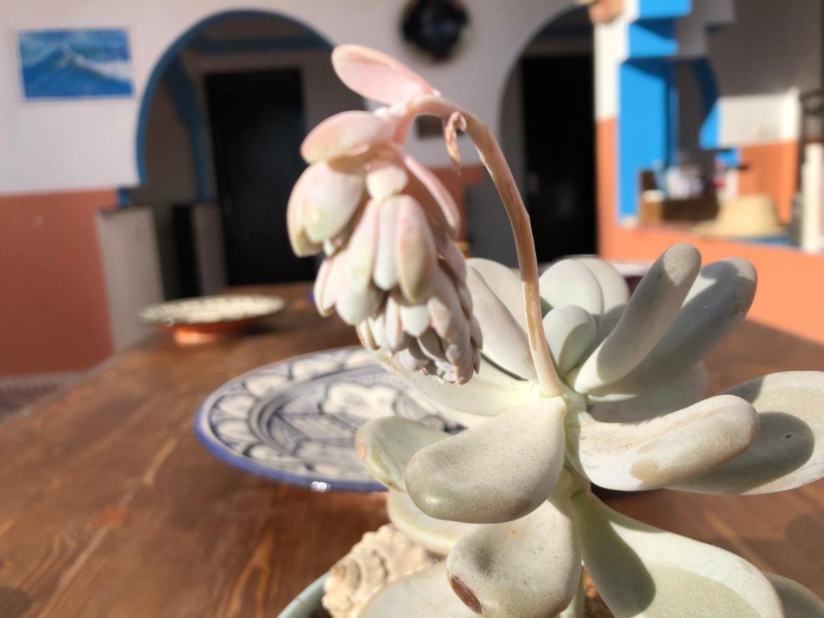 Binic Surf House Bed and Breakfast Taghazout Exteriör bild