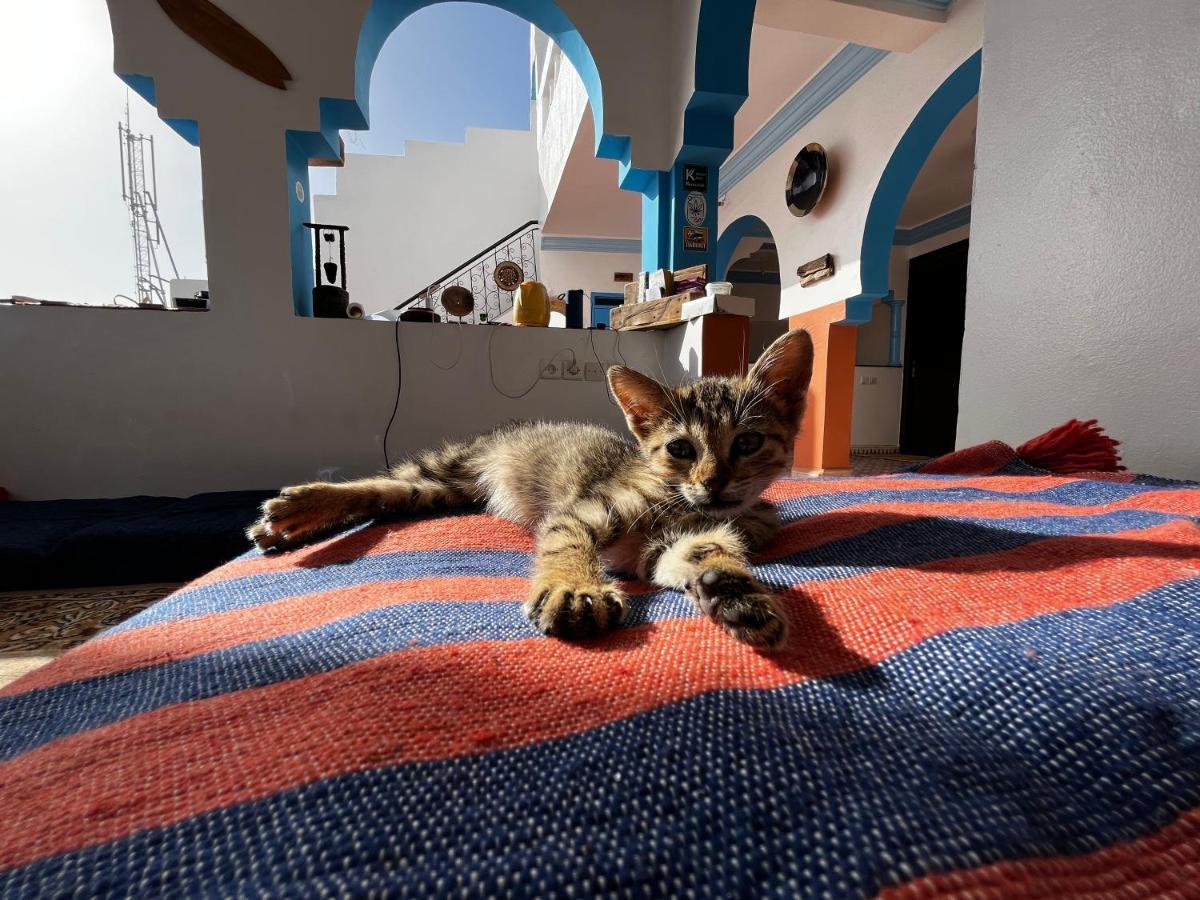 Binic Surf House Bed and Breakfast Taghazout Exteriör bild